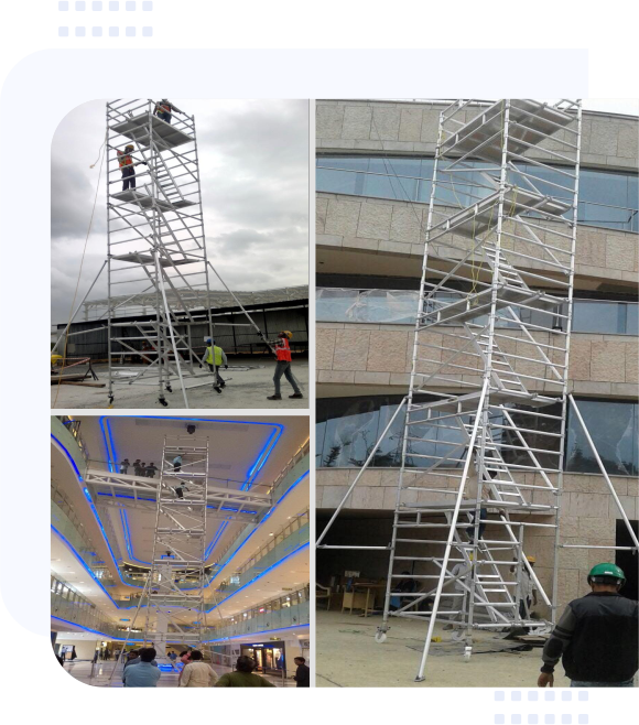 Scaffolding ladder